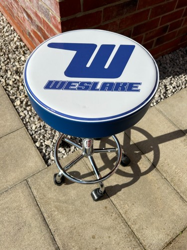 Weslake flying print - weslake,